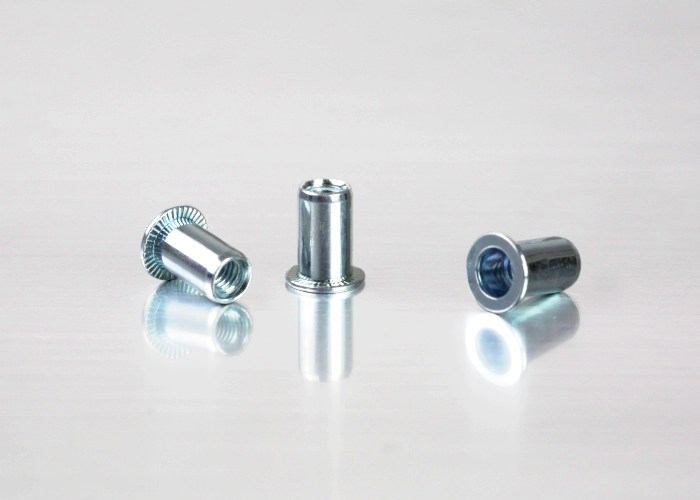 Flat Head Plain Body Steel 2